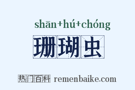 珊瑚虫是什么意思的图片